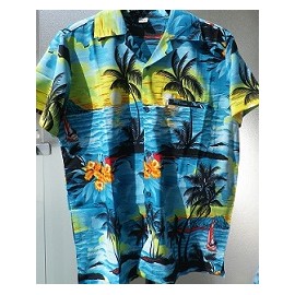 Chemise  hawaiënne lagon