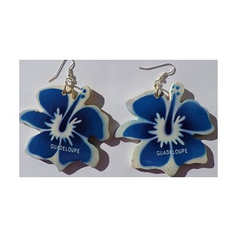 Boucles Hibiscus Guadeloupe