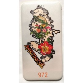 Batterie portable Martinique